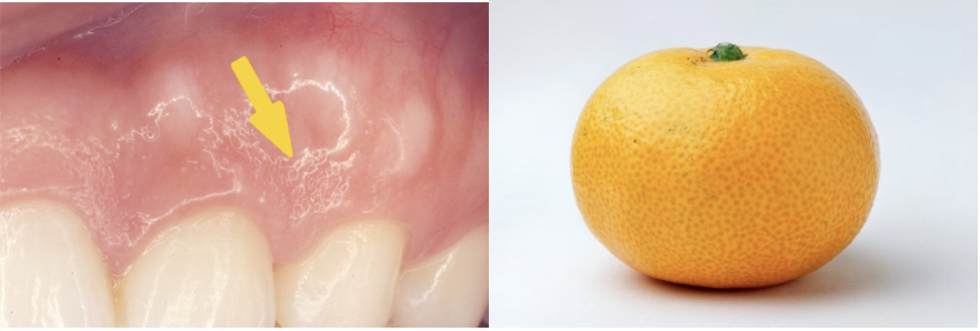 スクリーンショット 2023-04-22 21.55.26